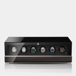 remontoir 6 montres macassar